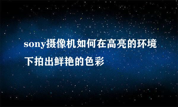 sony摄像机如何在高亮的环境下拍出鲜艳的色彩