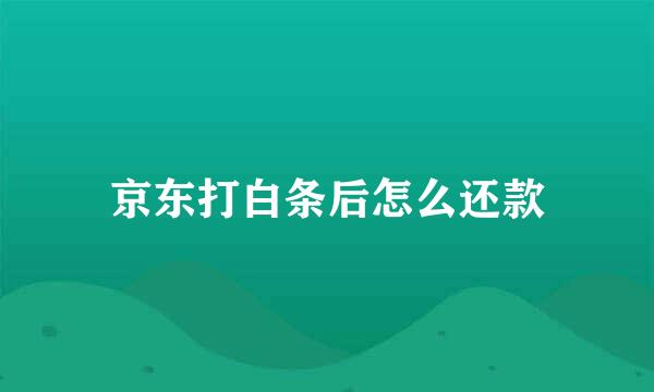 京东打白条后怎么还款