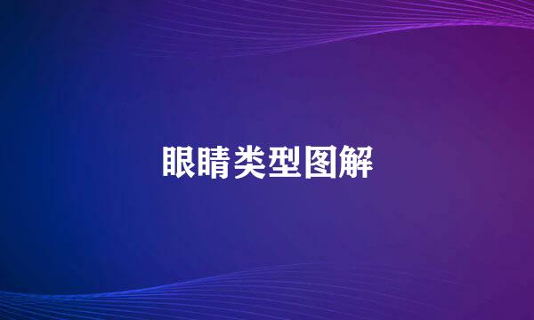 眼睛类型图解