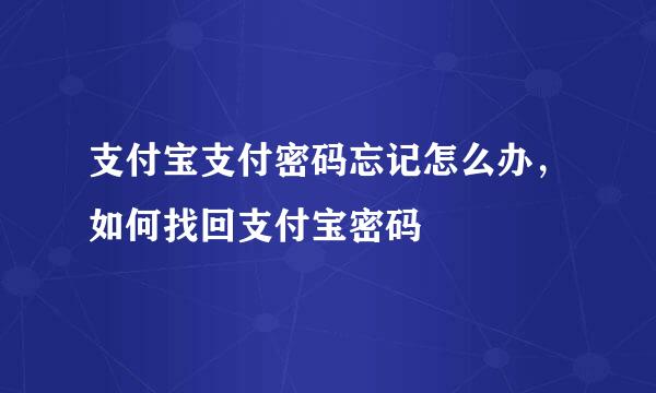 支付宝支付密码忘记怎么办，如何找回支付宝密码