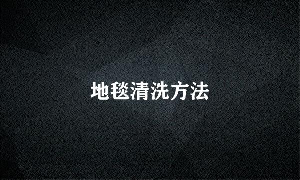 地毯清洗方法
