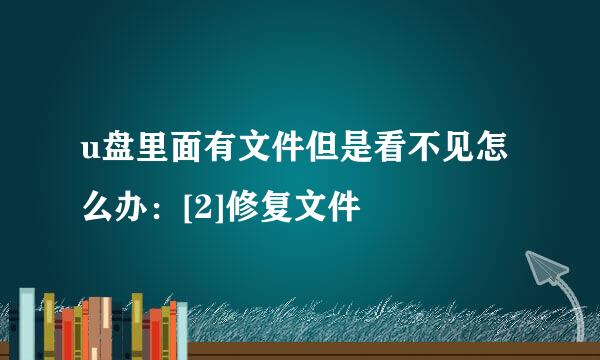 u盘里面有文件但是看不见怎么办：[2]修复文件