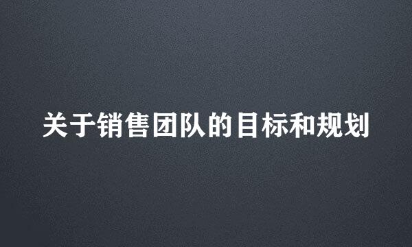 关于销售团队的目标和规划