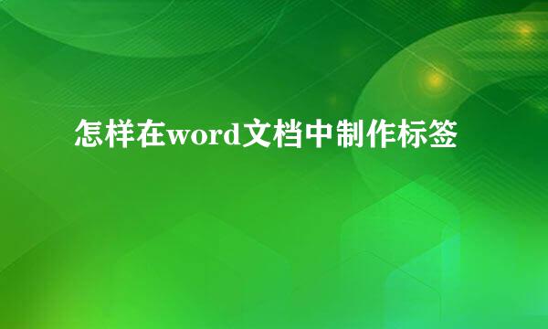 怎样在word文档中制作标签