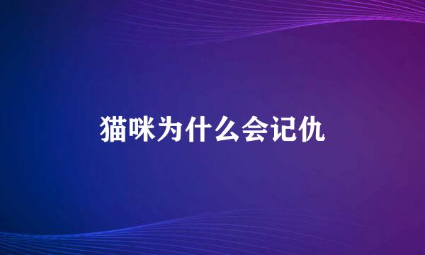 猫咪为什么会记仇