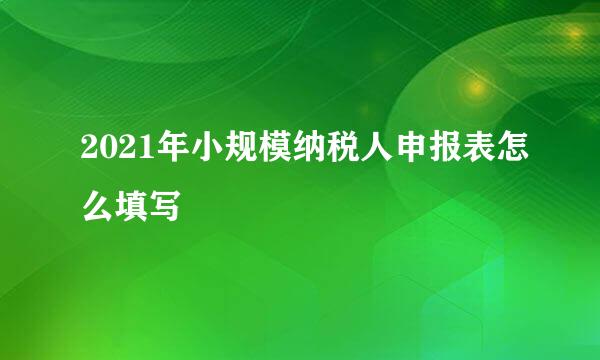 2021年小规模纳税人申报表怎么填写