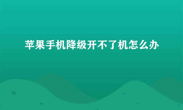 苹果手机降级开不了机怎么办