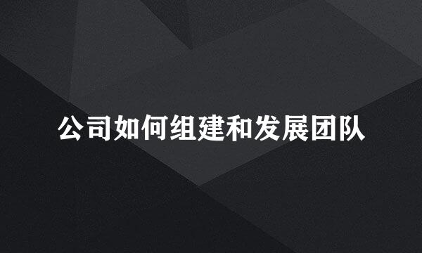 公司如何组建和发展团队
