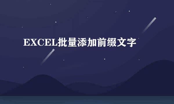 EXCEL批量添加前缀文字