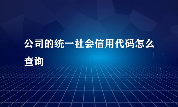 公司的统一社会信用代码怎么查询