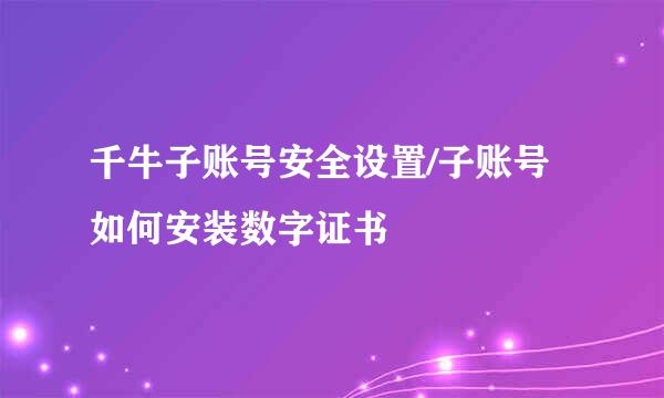 千牛子账号安全设置/子账号如何安装数字证书