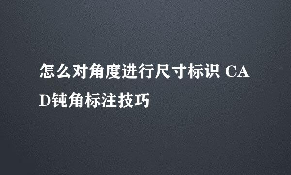 怎么对角度进行尺寸标识 CAD钝角标注技巧