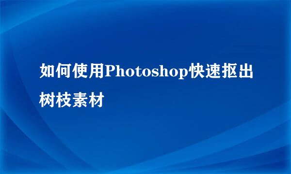 如何使用Photoshop快速抠出树枝素材