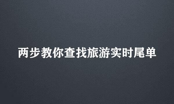 两步教你查找旅游实时尾单
