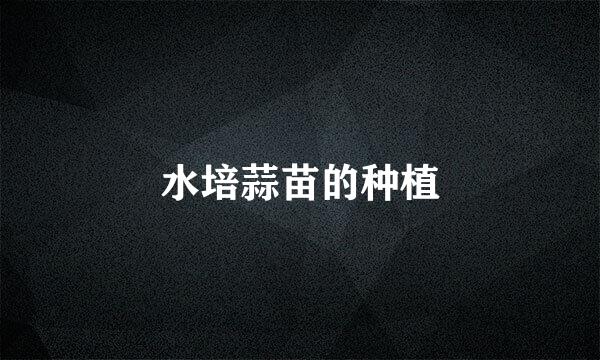 水培蒜苗的种植