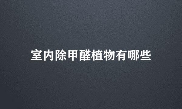 室内除甲醛植物有哪些