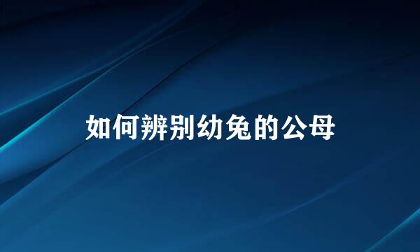 如何辨别幼兔的公母