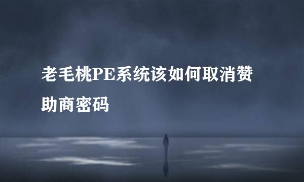 老毛桃PE系统该如何取消赞助商密码
