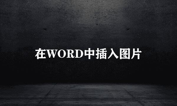 在WORD中插入图片