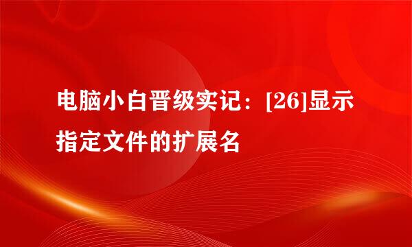 电脑小白晋级实记：[26]显示指定文件的扩展名