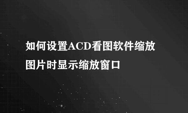 如何设置ACD看图软件缩放图片时显示缩放窗口