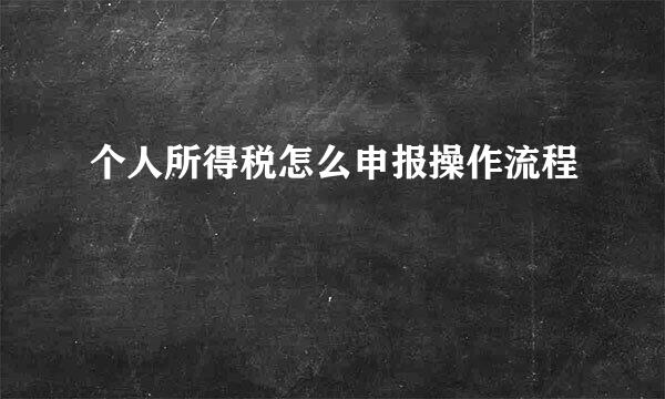 个人所得税怎么申报操作流程
