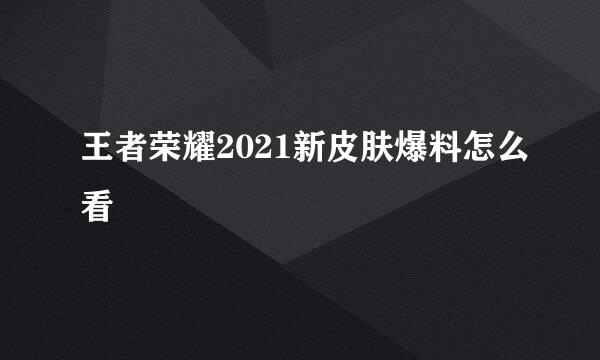 王者荣耀2021新皮肤爆料怎么看