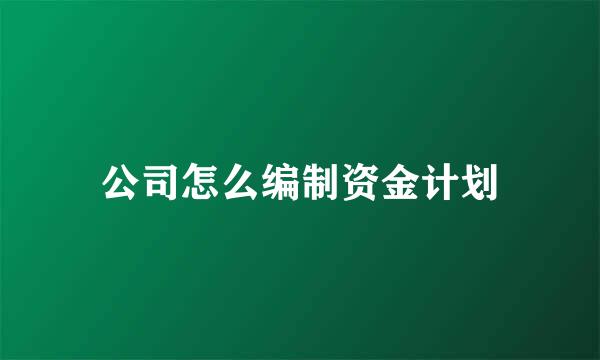 公司怎么编制资金计划