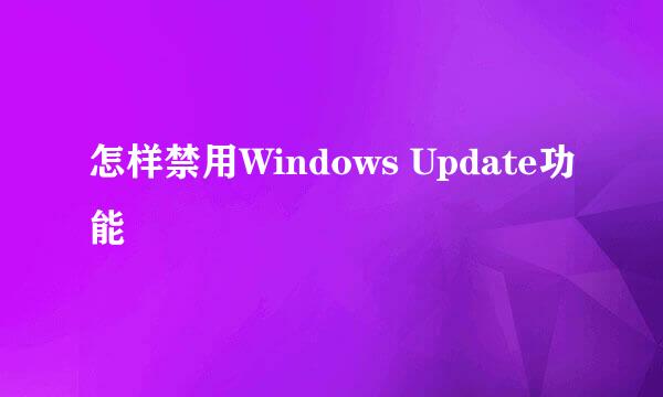 怎样禁用Windows Update功能