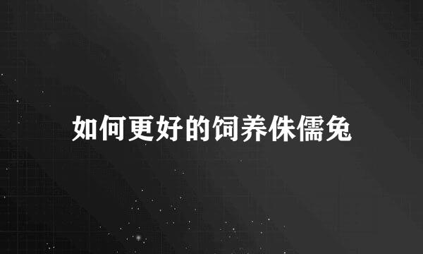 如何更好的饲养侏儒兔