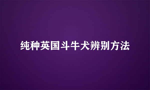 纯种英国斗牛犬辨别方法