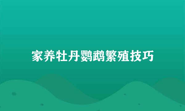 家养牡丹鹦鹉繁殖技巧