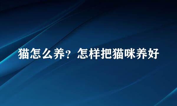 猫怎么养？怎样把猫咪养好