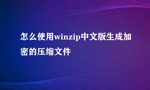 怎么使用winzip中文版生成加密的压缩文件