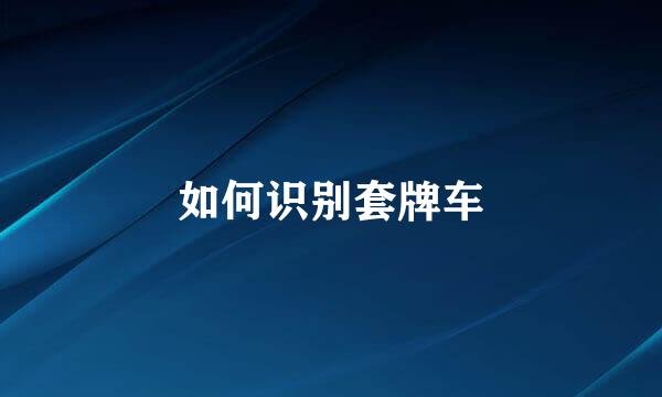 如何识别套牌车
