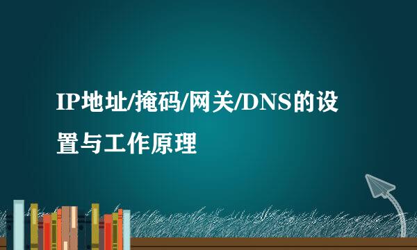 IP地址/掩码/网关/DNS的设置与工作原理