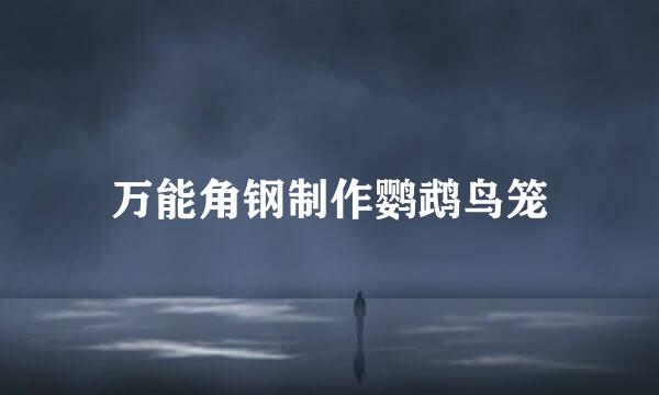 万能角钢制作鹦鹉鸟笼