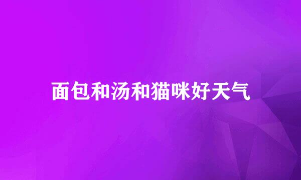 面包和汤和猫咪好天气