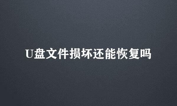 U盘文件损坏还能恢复吗