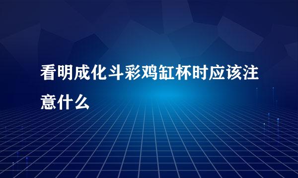 看明成化斗彩鸡缸杯时应该注意什么