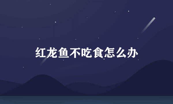 红龙鱼不吃食怎么办