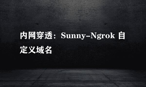 内网穿透：Sunny-Ngrok 自定义域名