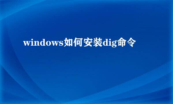 windows如何安装dig命令