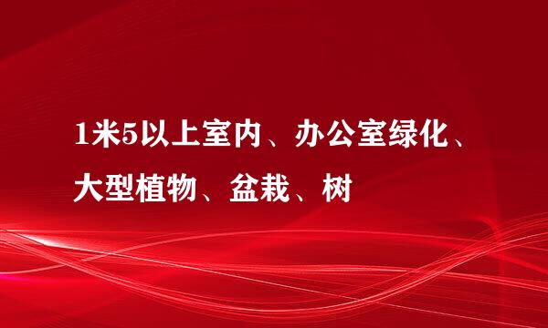 1米5以上室内、办公室绿化、大型植物、盆栽、树