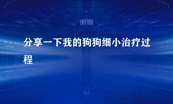分享一下我的狗狗细小治疗过程