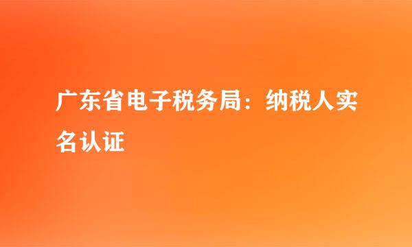 广东省电子税务局：纳税人实名认证