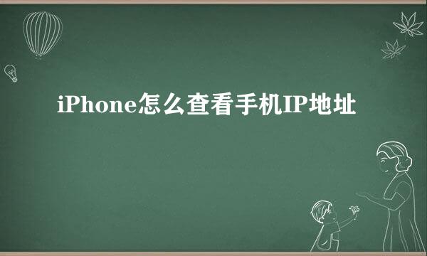 iPhone怎么查看手机IP地址
