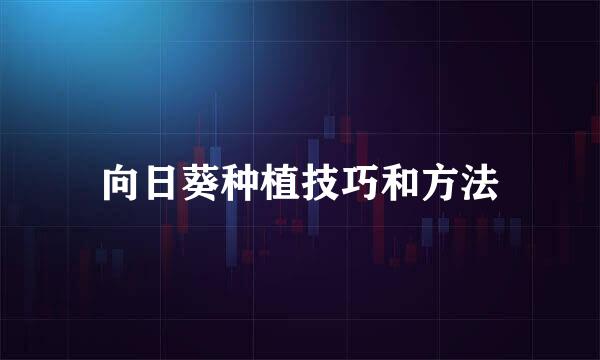 向日葵种植技巧和方法