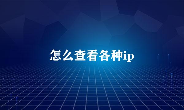 怎么查看各种ip