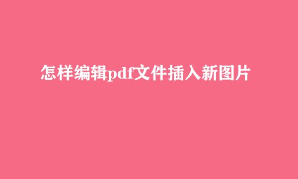 怎样编辑pdf文件插入新图片